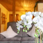 Haus Resow Apartamento *